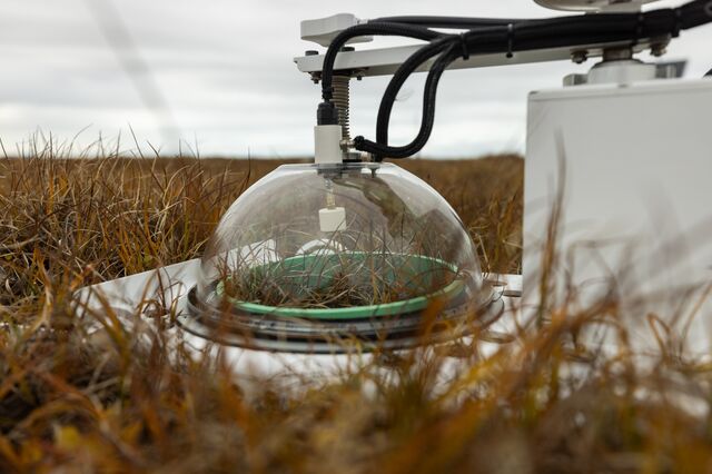 A clear dome-like machine used to measures the carbon output of the soil. 