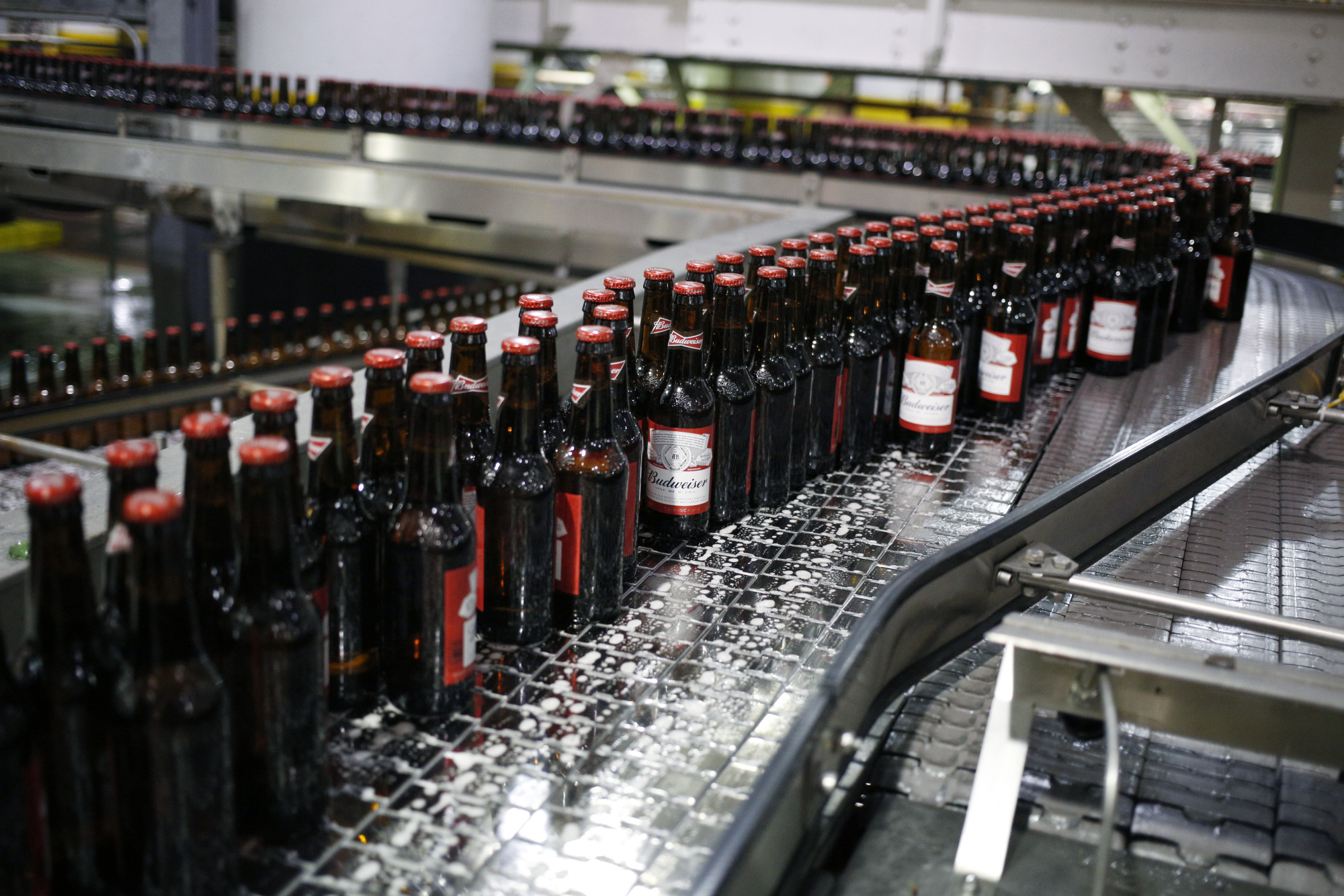 10 тыс тонн. Аб ИНБЕВ. Пеногаситель INBEV. Пиво Сан ИНБЕВ ассортимент. Сан ИНБЕВ продукция ассортимент.