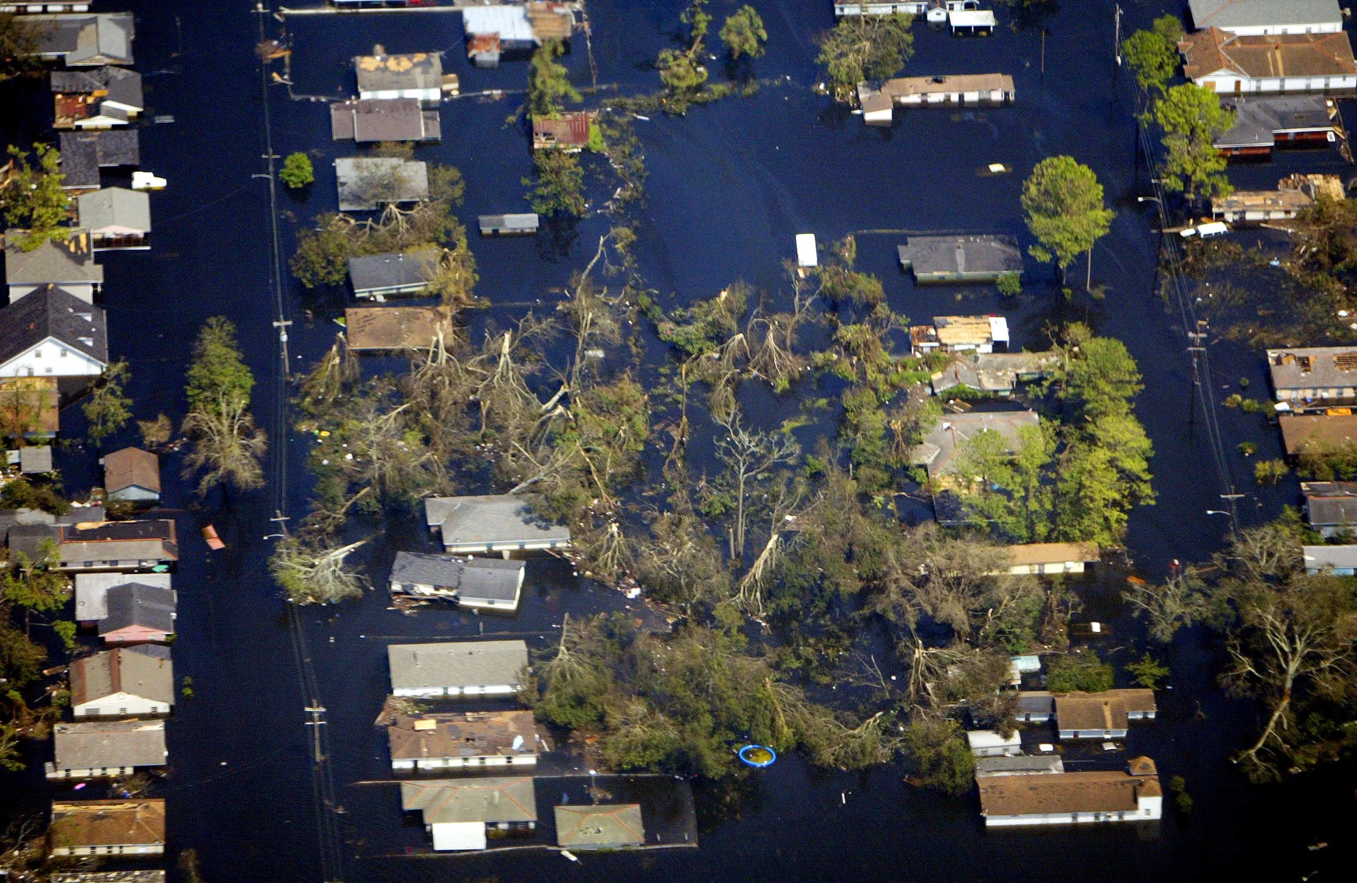 Fallen trees litter the area outside New Orleans, Louisiana, where houses were submerged to the roof by floodwaters in August 2005.