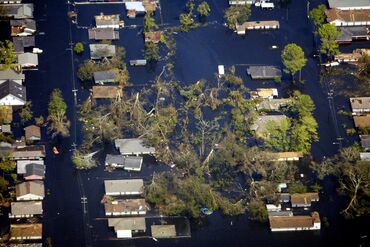 Fallen trees litter the area outside New