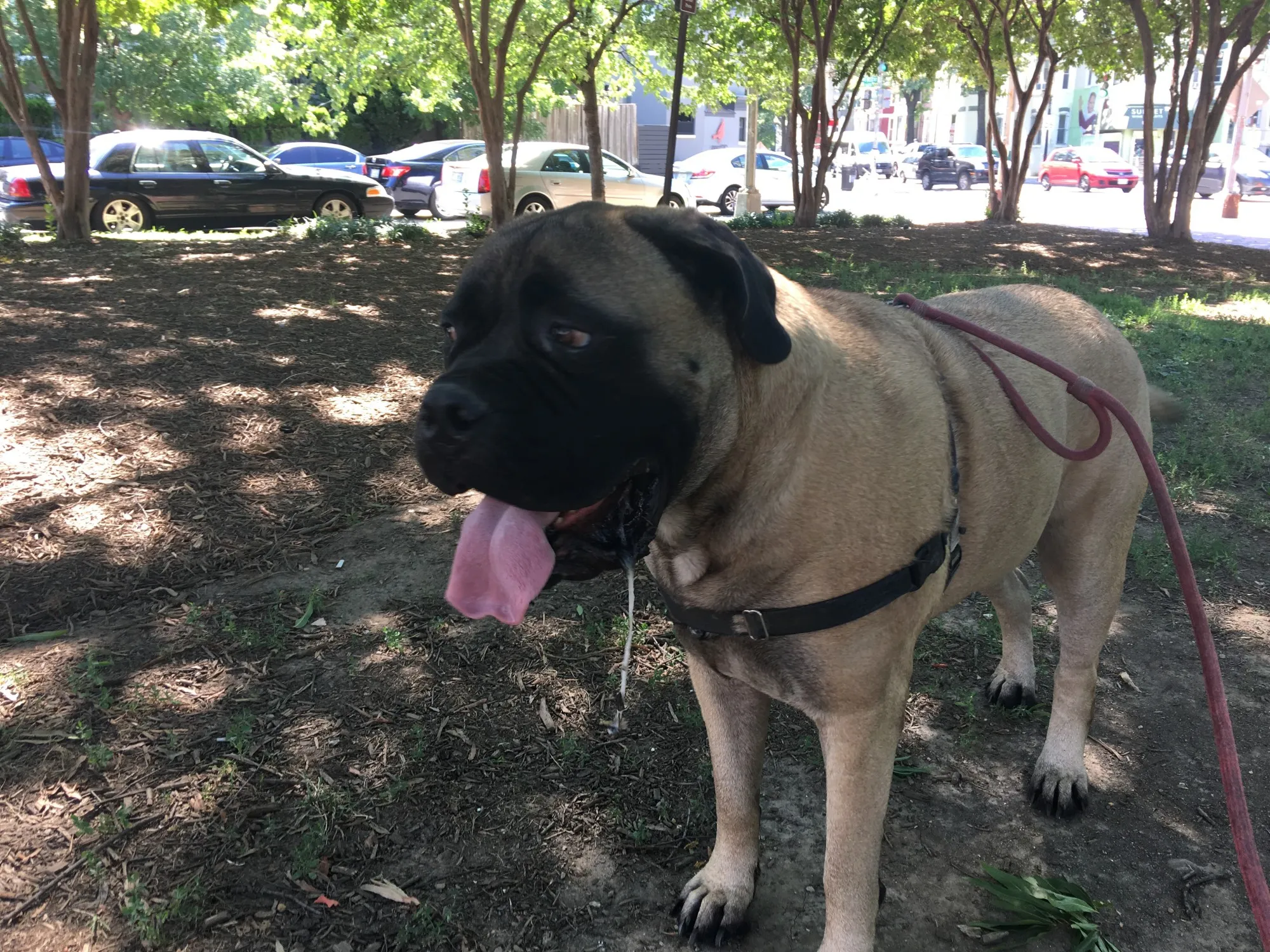 NOT coming to a restaurant near you.
