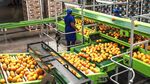 South African Agriculture Braces for Trump Tariffs