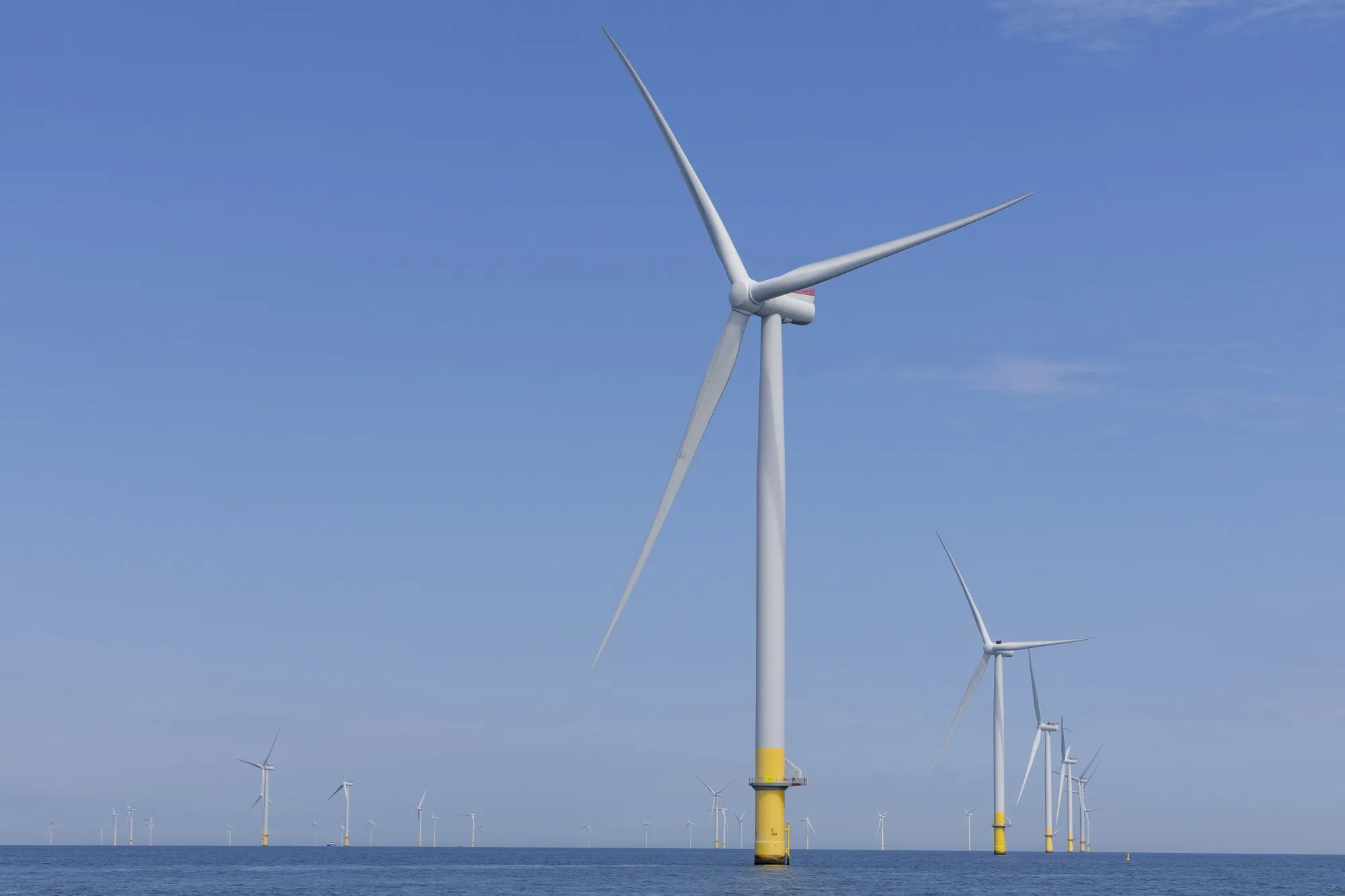An Orsted&nbsp;offshore wind energy park.