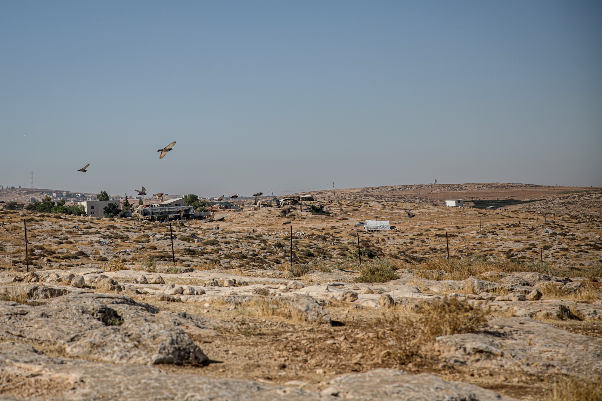 A cluster of makeshift structures and tents sits on a barren hillside near Susya, Hebron.