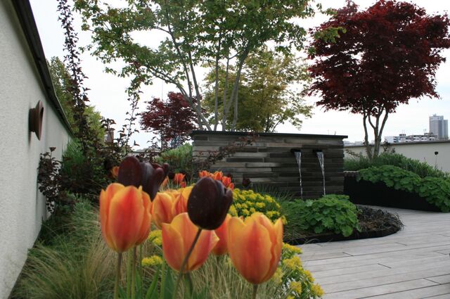 Tulips and a fountain on a rooftop garden of a home in Frankfurt. 