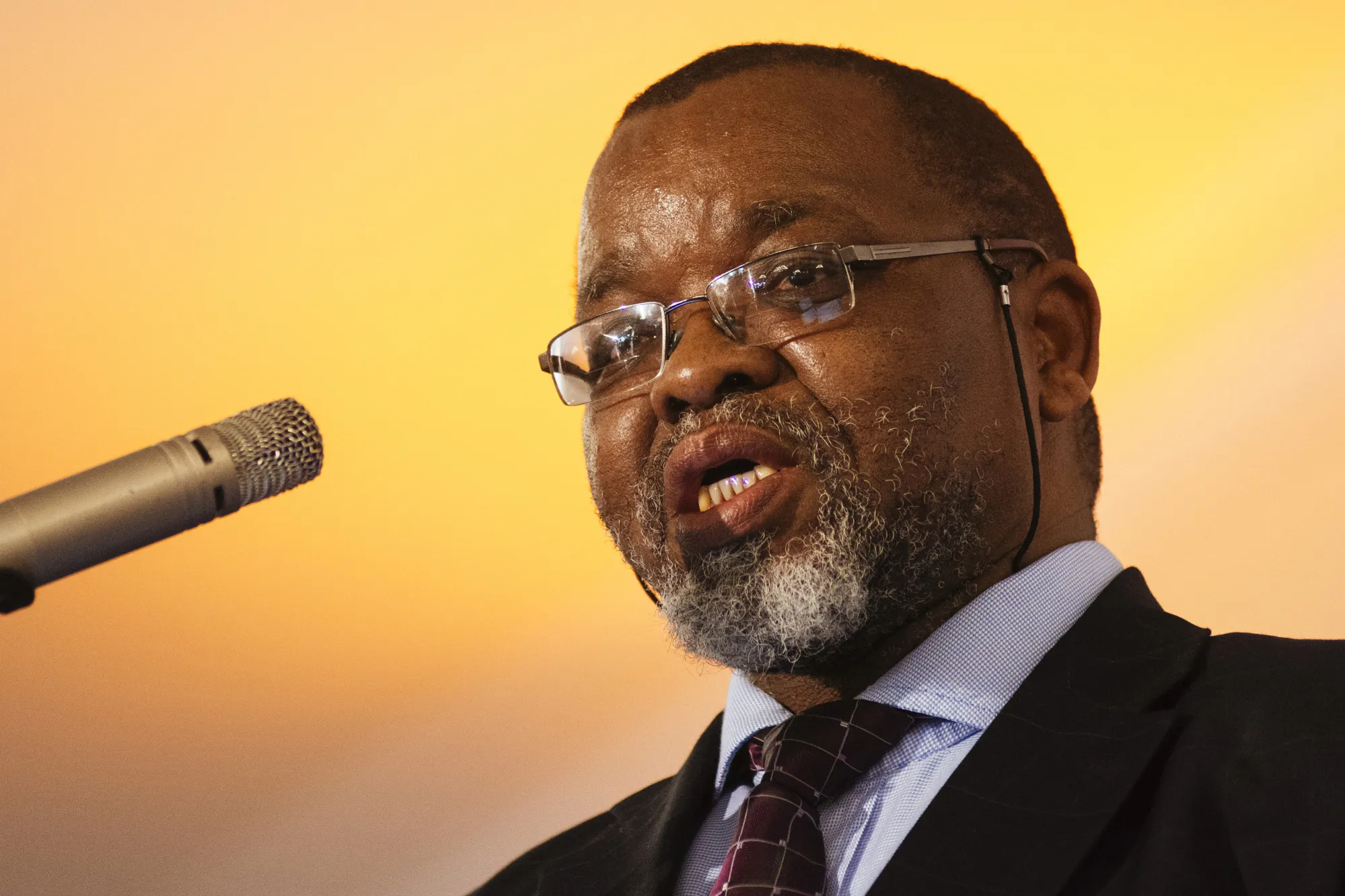 Gwede Mantashe