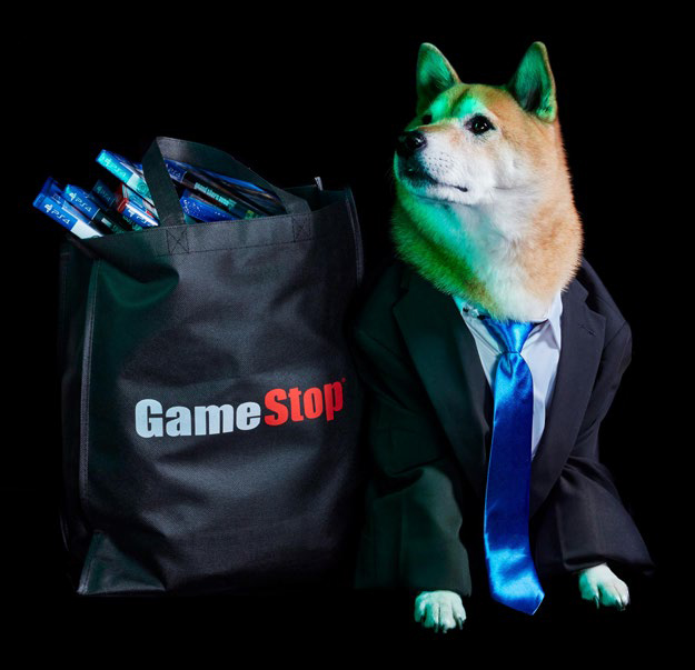 Shiba Inu dog with GameStop gear