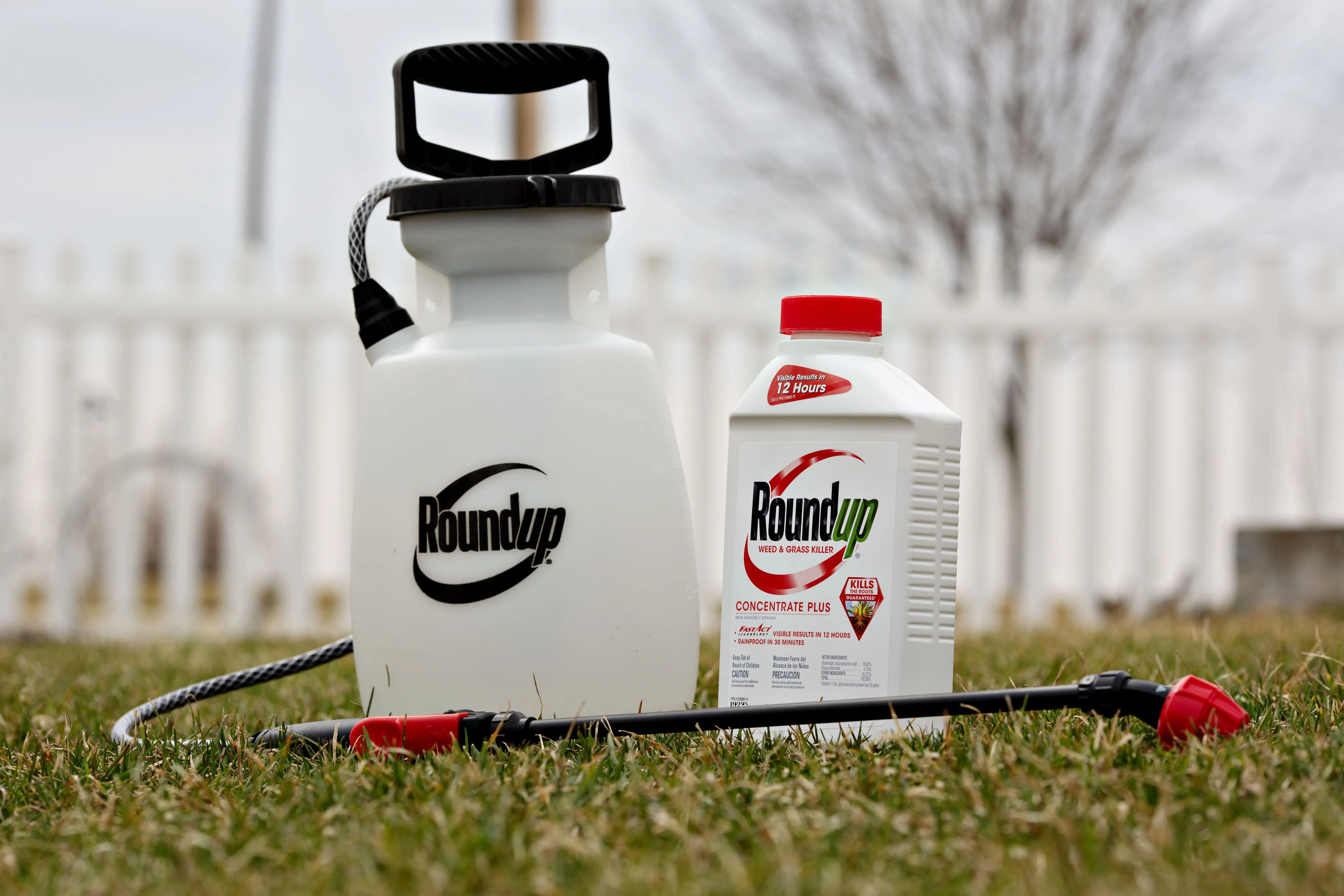 Roundup brand weedkiller concentrate