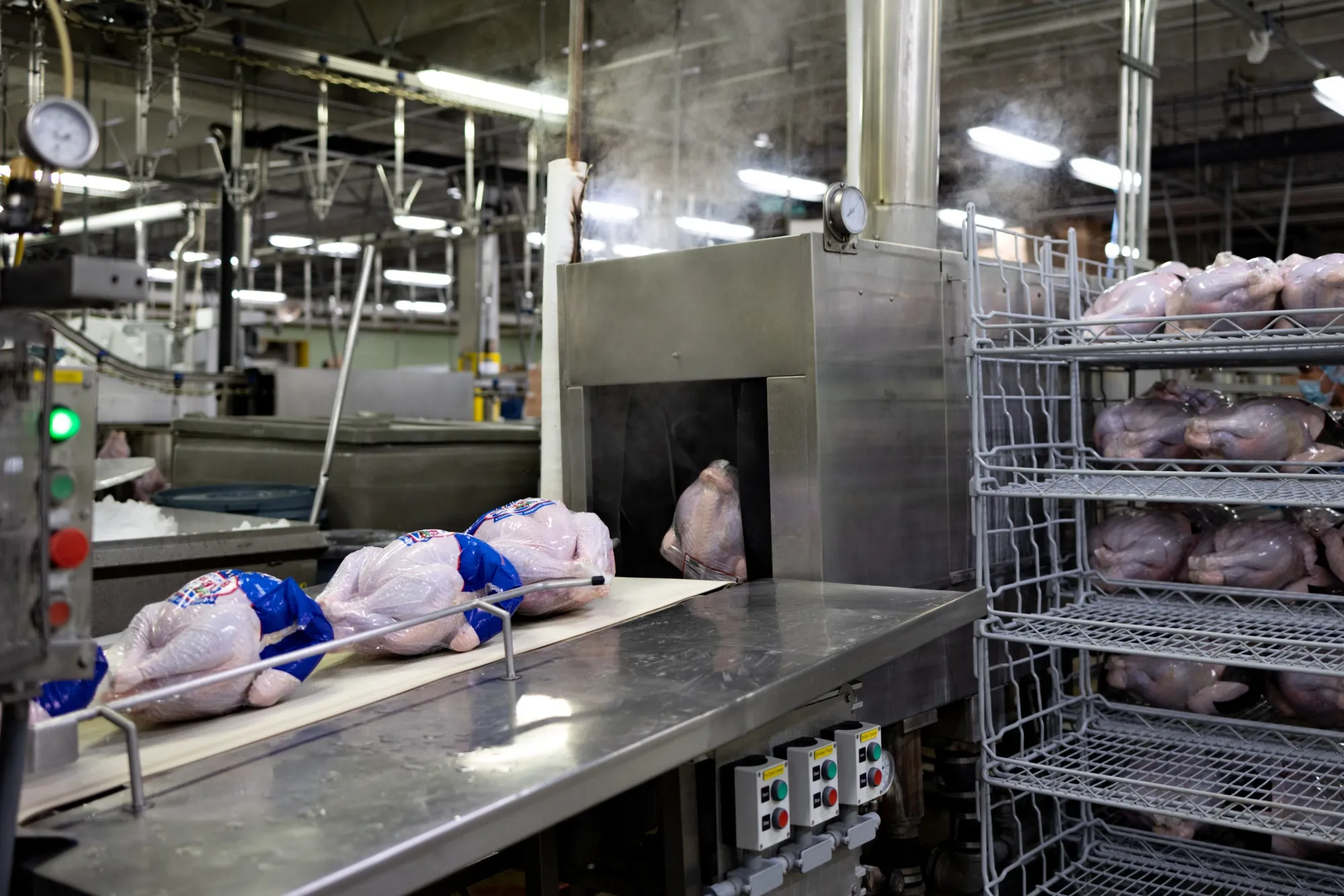 Thanksgiving Turkey Food Safety Tips - Bloomberg