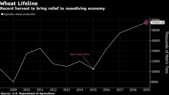 Break in Clouds for Macri as Argentina Revs Wheat Harvesters