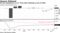 Private employment in U.S. firms after declining at end of 2020