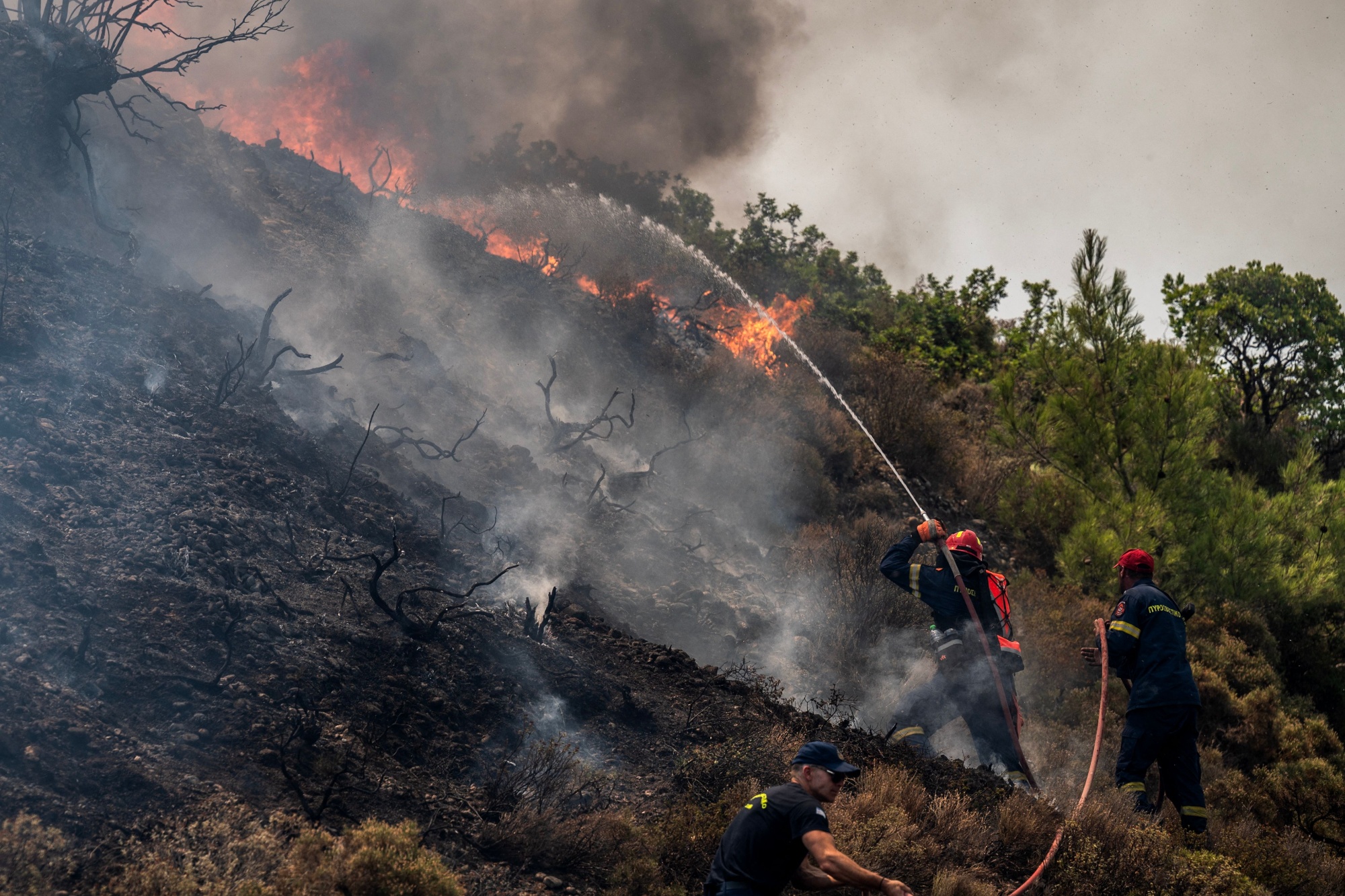 Photo story: Fighting fire with forecasts