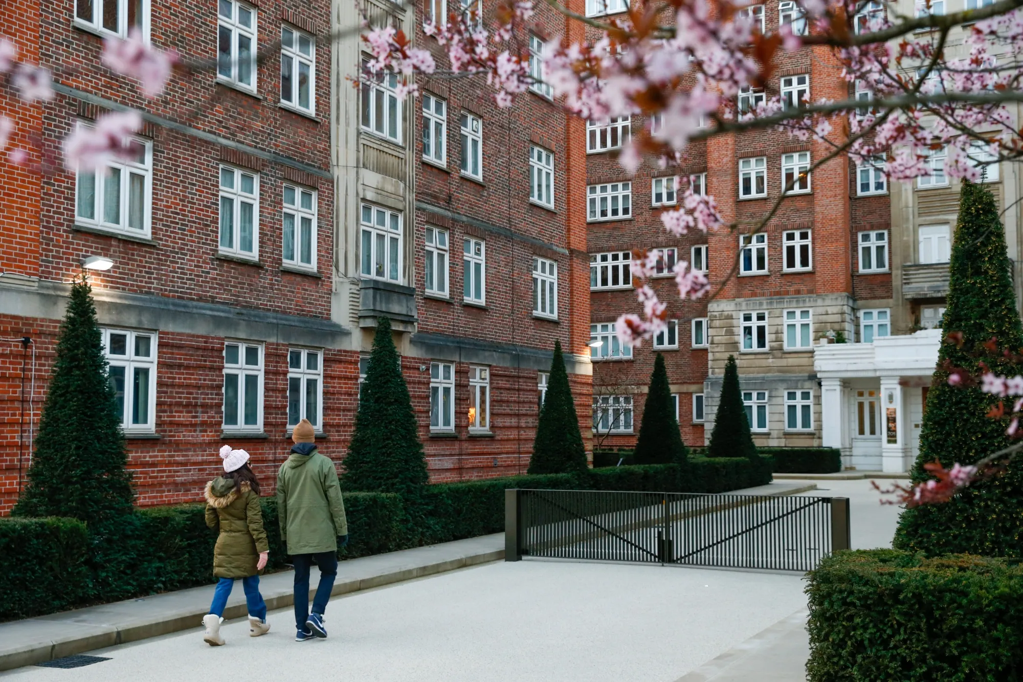 A tree in blossom in view of Grove Hall Court residential building in St John's Wood, London.