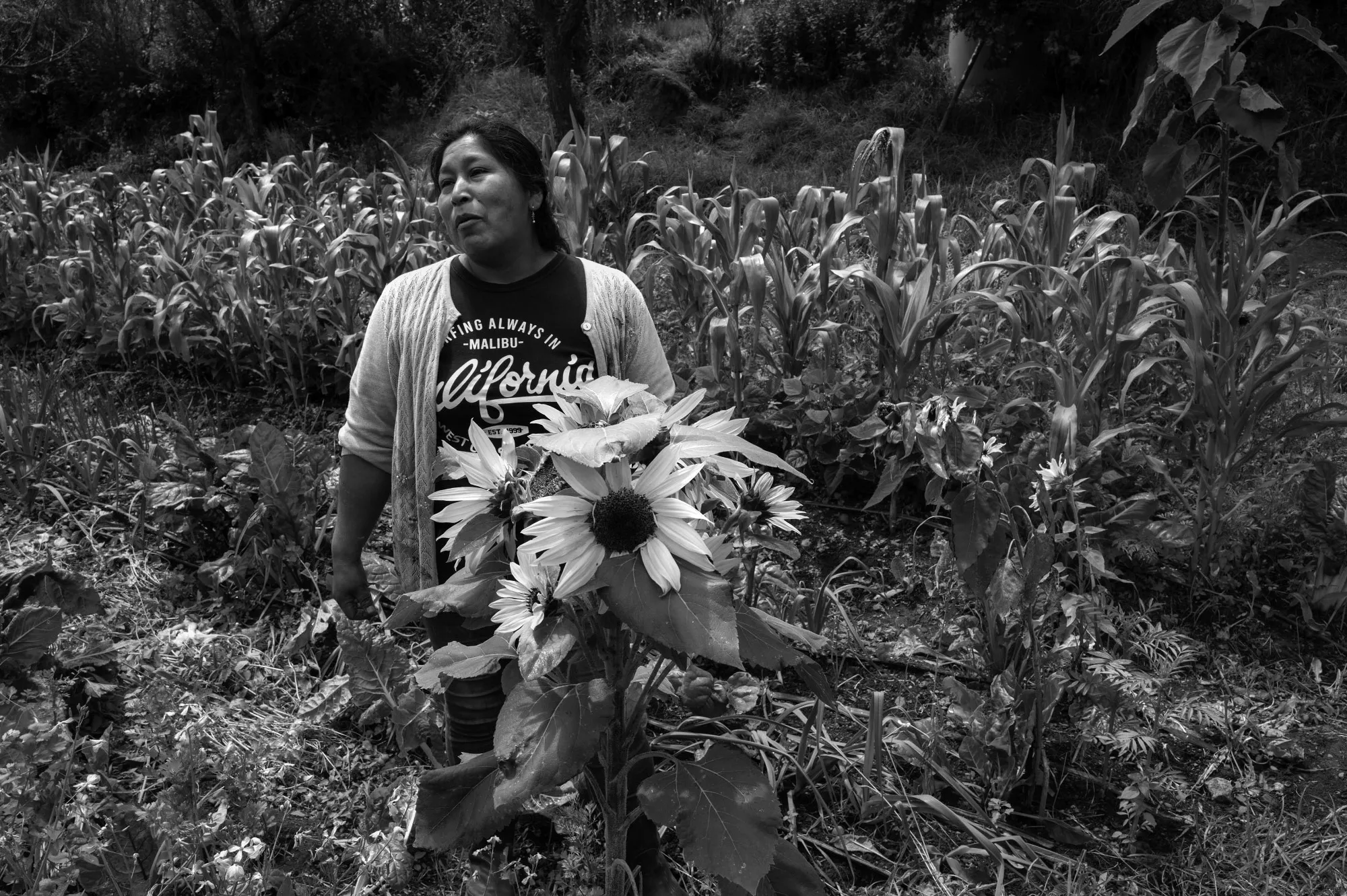  Yésica Nina Cusiyapanqui  stands in front of large sunflowers at Ecohuella farm.