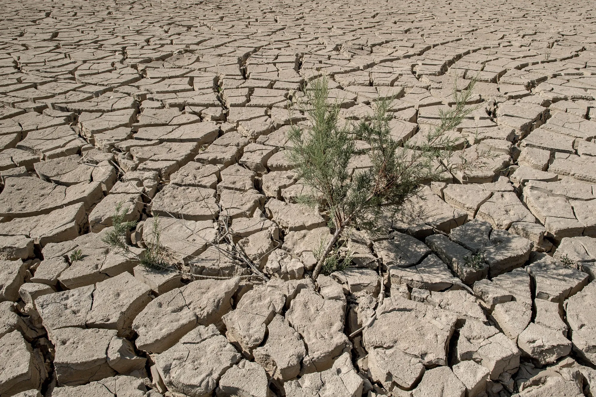 Dried cracked mud is seen at a reservoir in Spain.&nbsp;