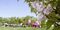 Fastest-growing city in Maryland: Ellicott City