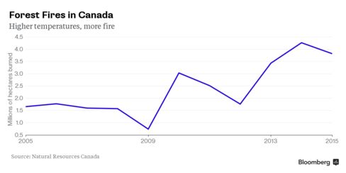 Wildfires in Canada are on the rise, triggered by high temperatures and drought.