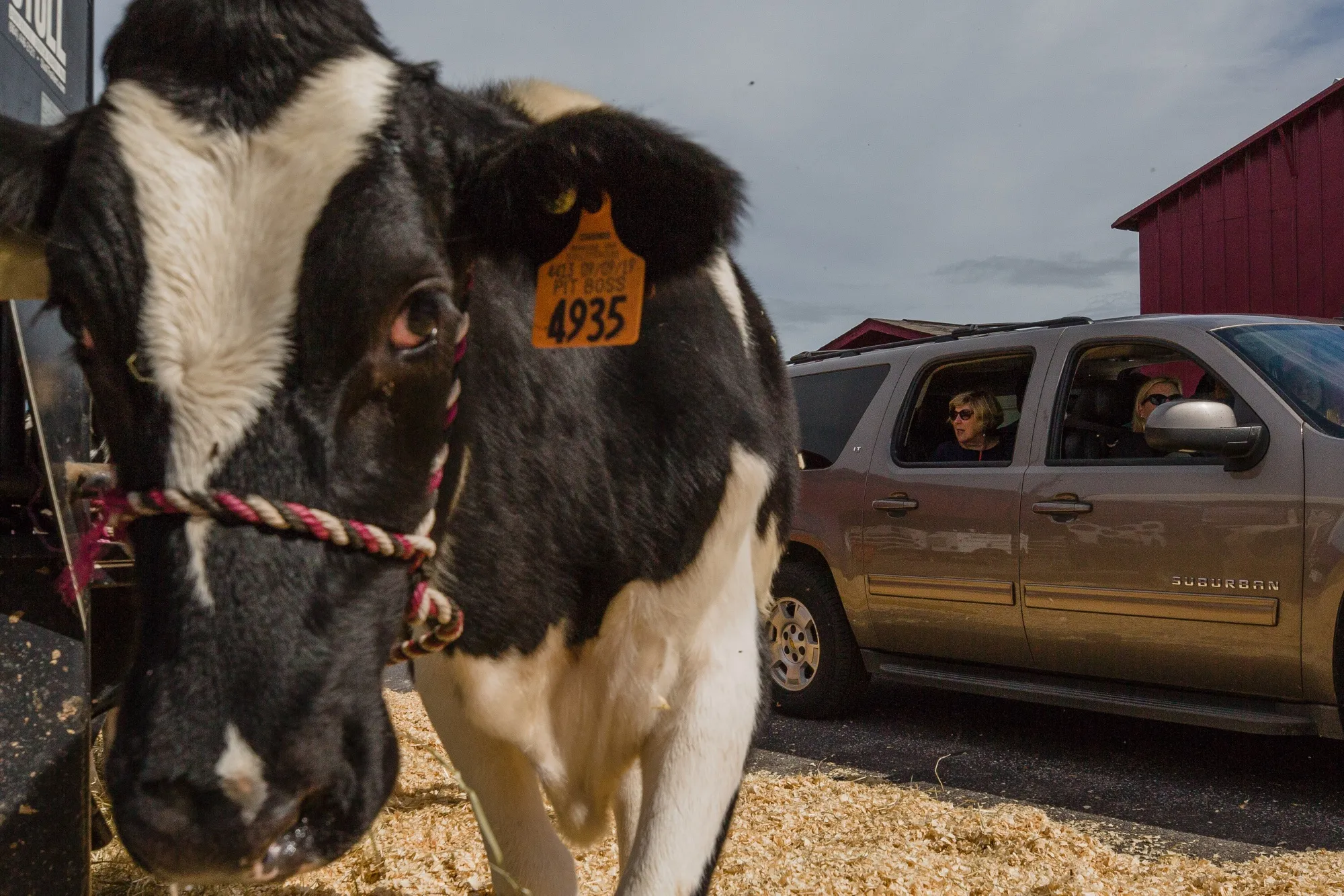 Residents Attend A Drive-Thru State Fair In South Carolina