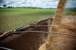 Soybeans are harvested on a farm near Brasilia, Brazil.