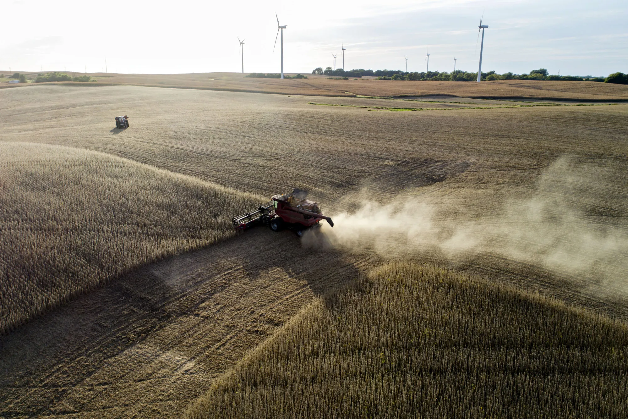 Soybeans are harvested in Tiskilwa, Illinois, in 2018.