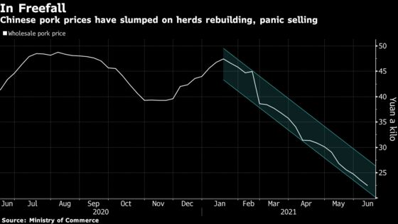 China’s Hog Herd Has Almost Recovered From African Swine Fever