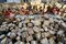 Alibaba Singles' Day Global Shopping Festival