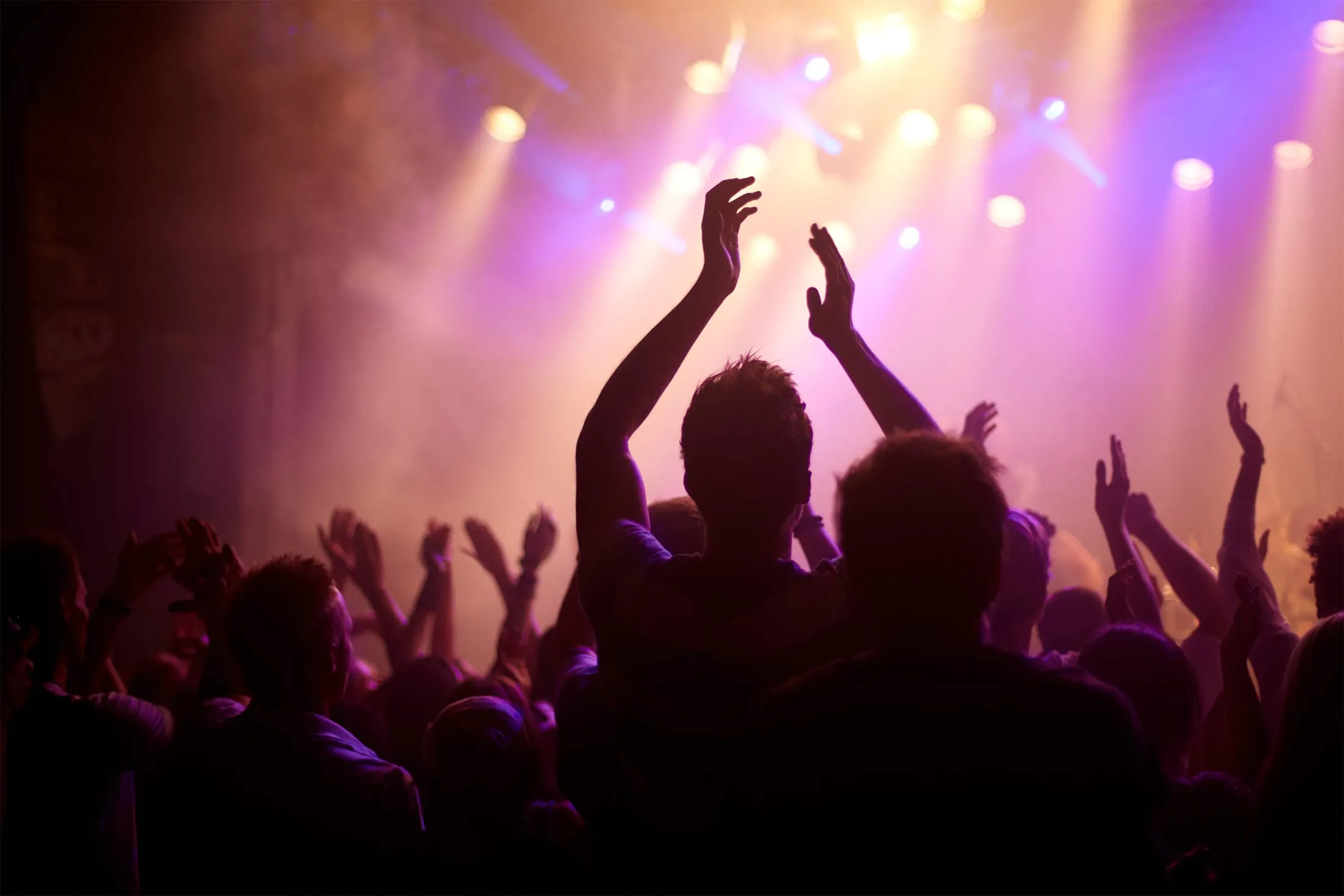 Group Of People At Music Concert