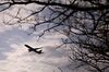 An American Airlines plane departs Reagan National Airport in Arlington, Virginia.