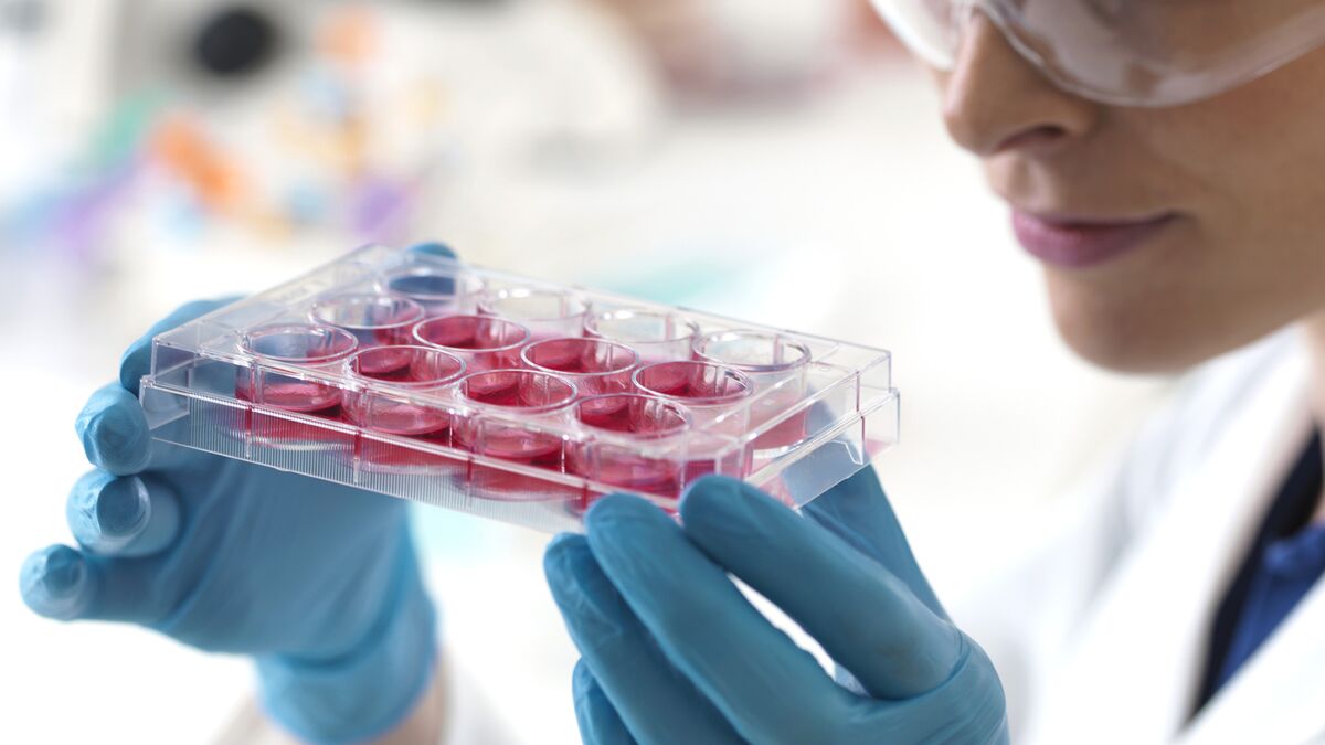 Sciencemagazine Stem Cell Stop Hyping Stem Cell Science, Say Stem Cell Scientists - Bloomberg