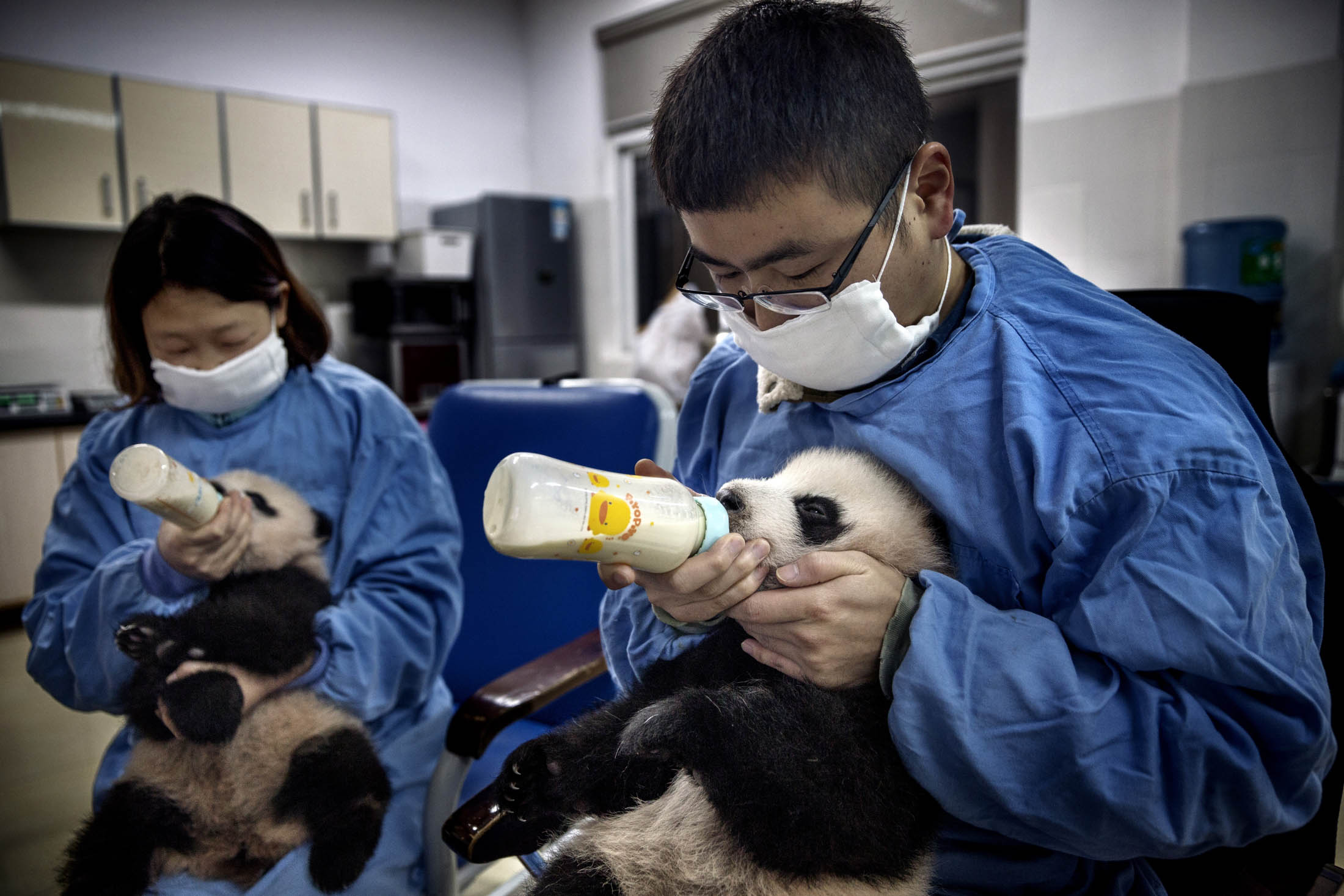 Dressing Up in a Panda Suit Can Really Make a Difference - Bloomberg