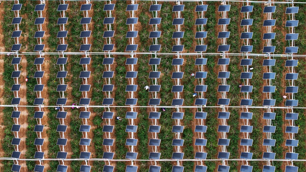 The Energy Transition Debate We Need to Have