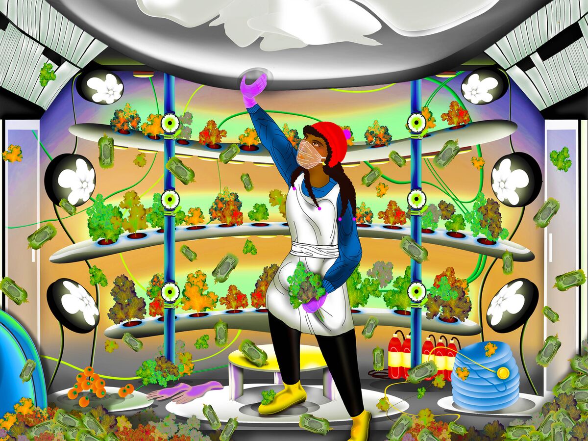 Vertical Farming Is Latest 2022 Tech Layoffs Victim - Bloomberg Vertical Farming Is Latest 2022 Tech Layoffs Victim - Bloomberg