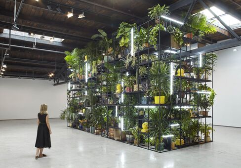 Antoine's Organ, 2016, a massive scaffolding installation with plants, books, tvs, and mounds of shea butter. There's an upright player piano on the second level of the scaffold, which is played on Tuesdays, Wednesdays, and Saturdays by the musician Antoine Baldwin.