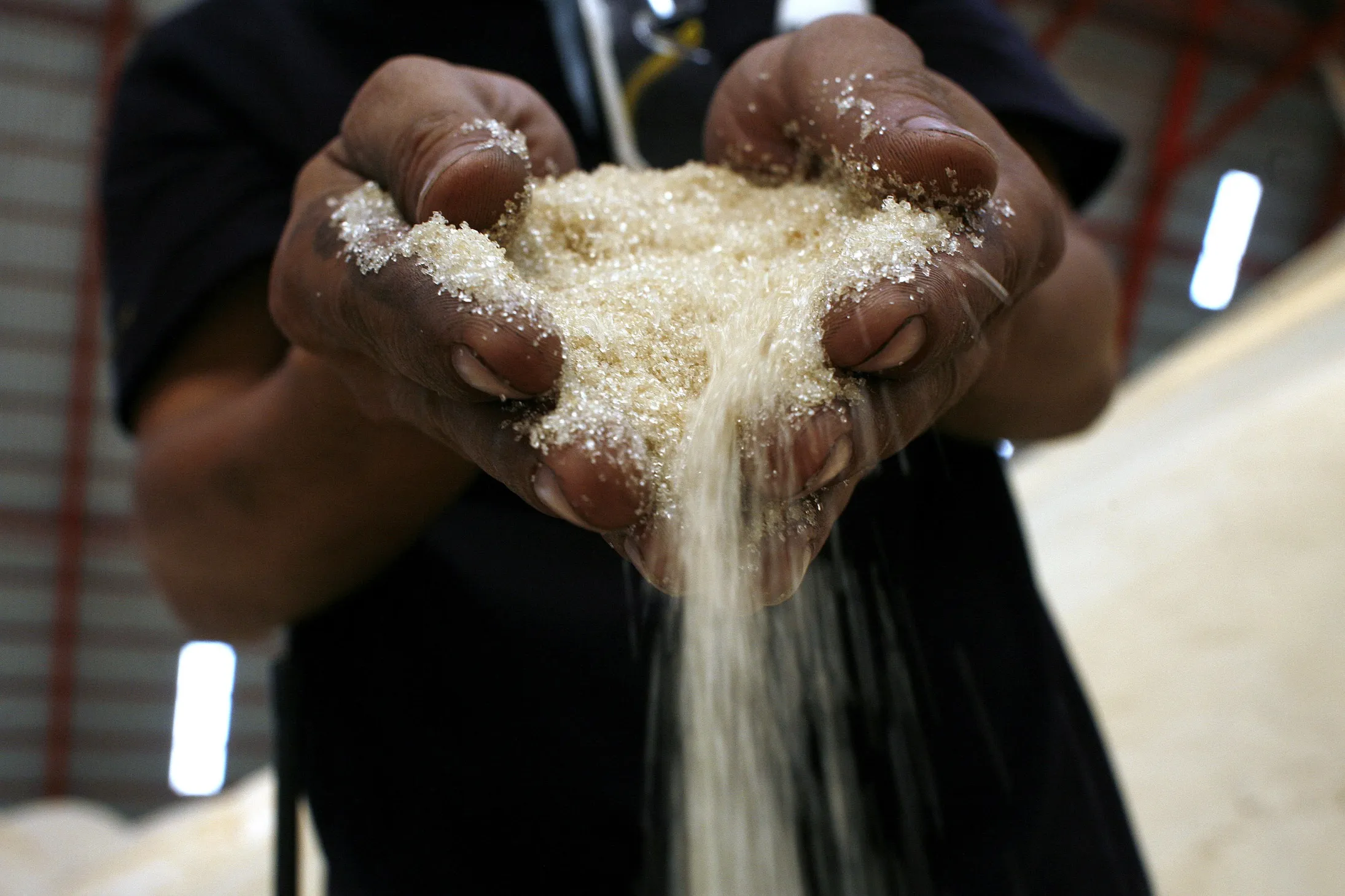 A &nbsp;rally in global&nbsp;sugar&nbsp;prices to near the highest in more than three years is spurring Thai millers to lure back farmers with record cane prices.