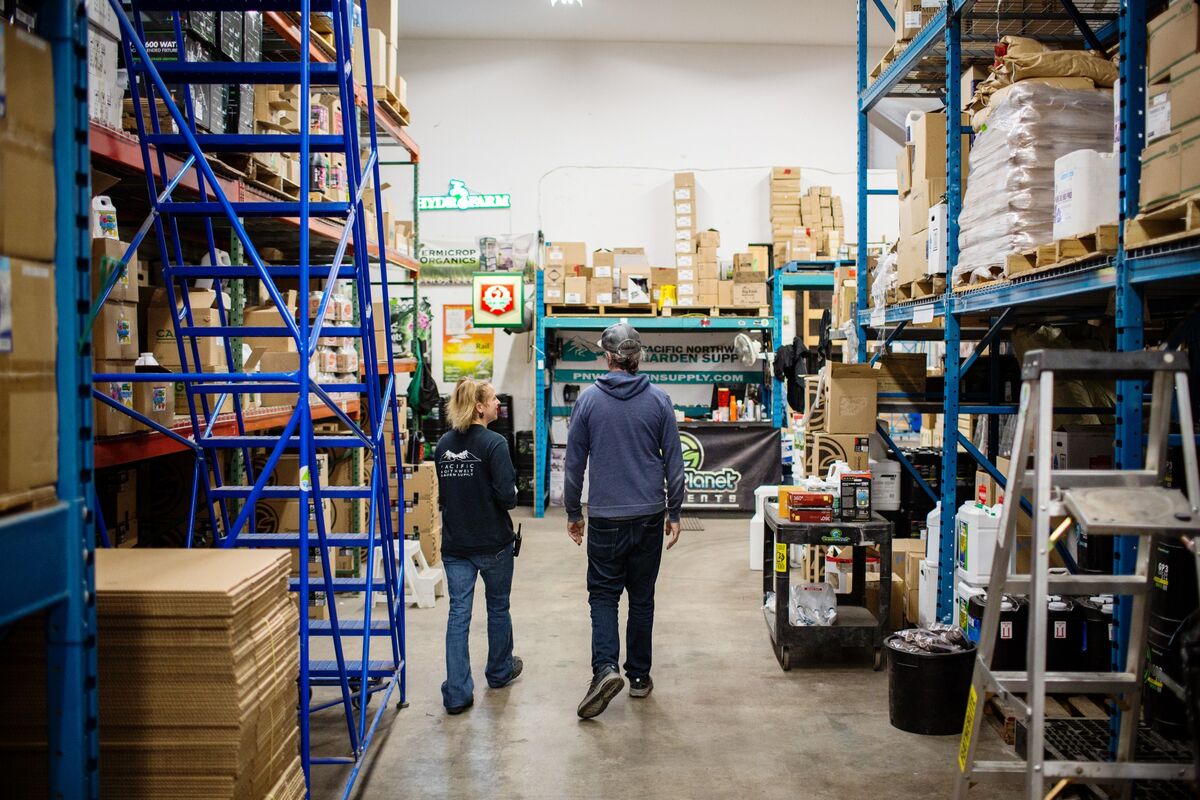 Canada Wholesalers Surprise With Fastest Growth in 17 Months Bloomberg