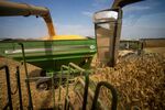A combine harvester cuts rows of corn and transfers kernels to the hopper during a harvest at Triple Run Farm in Dockery, Mississippi, US, on Thursday, Aug. 14, 2025. Chicago corn futures fell to the lowest level in nearly a year after the US Department of Agriculture raised its already record-large outlook for the American harvest.