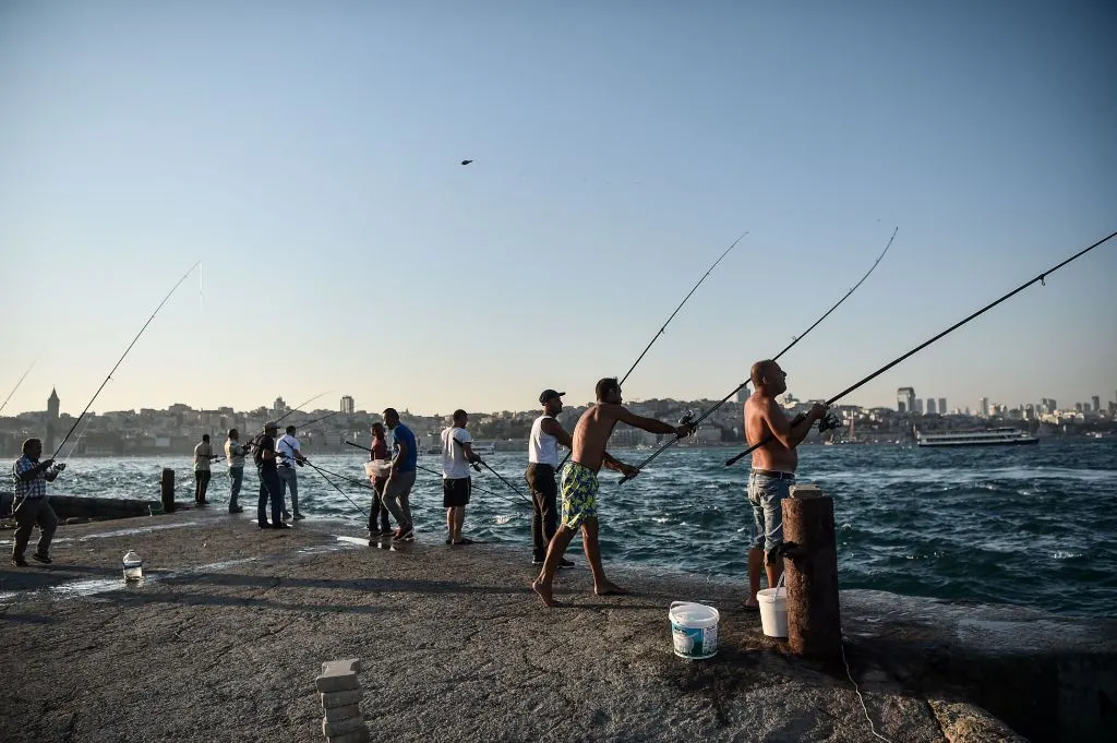Bottom-fishing.
