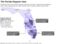 Florida Hispanic map (2)