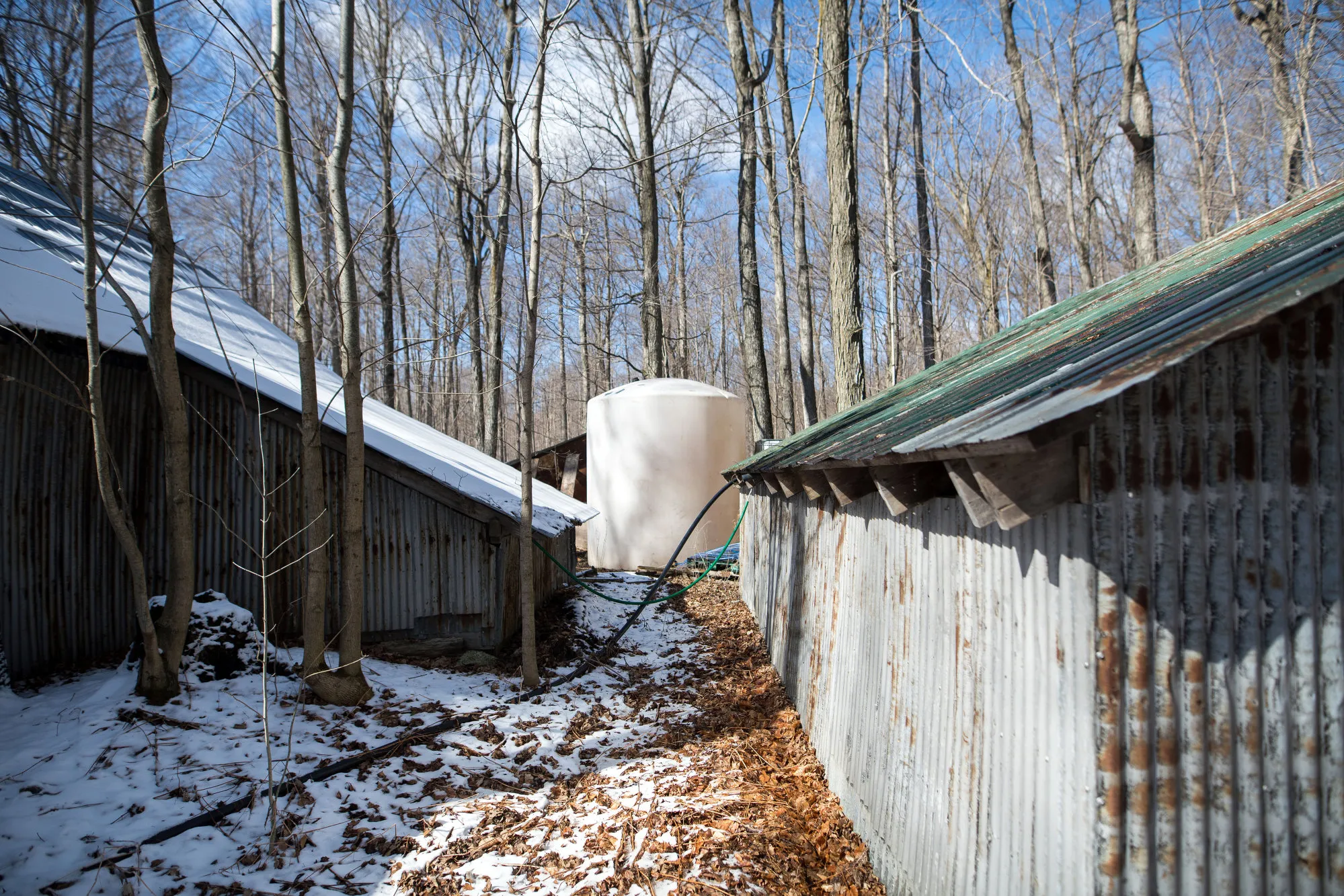 A storage tank outside of a maple syrup processing facility in Canada.