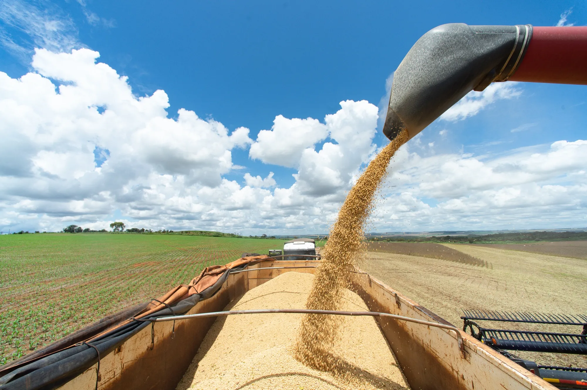 Soybeans are harvested near Brasilia, Brazil.
