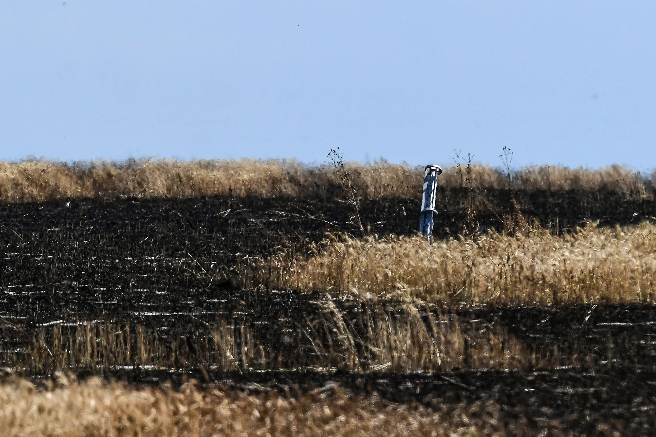 An unexploded rocket in a wheat field burnt after alleged Russian military air strikes in eastern Ukraine on July 13.