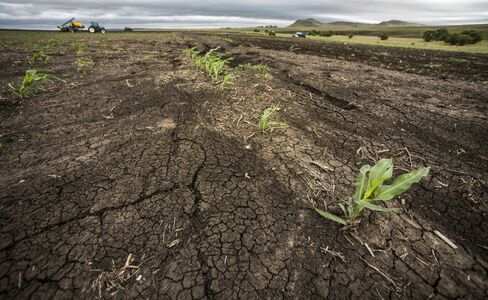 Drought in South Africa
