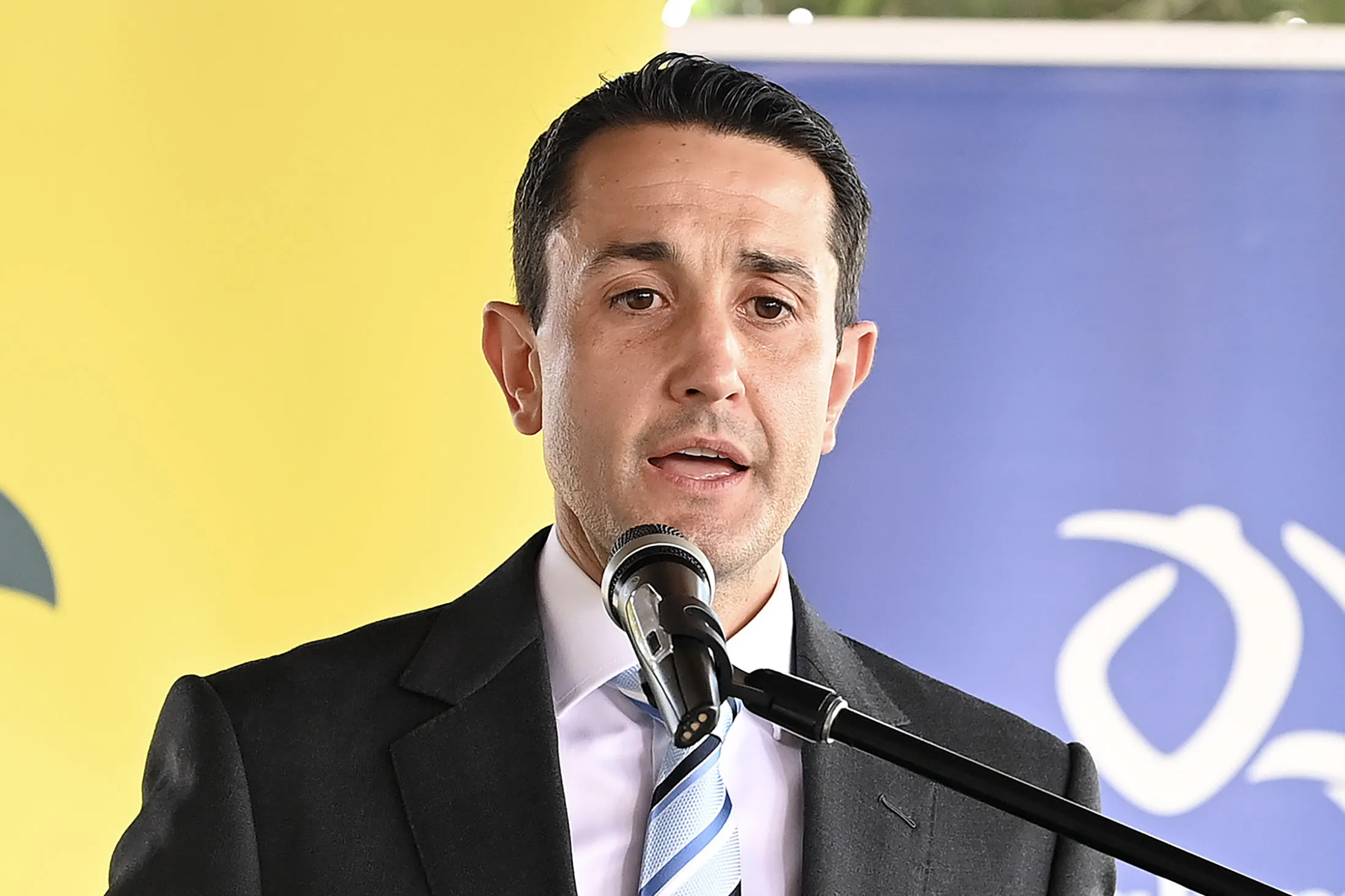 David Crisafulli