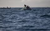 For Marine Biologist, Haitian Gangs Make Work Dangerous