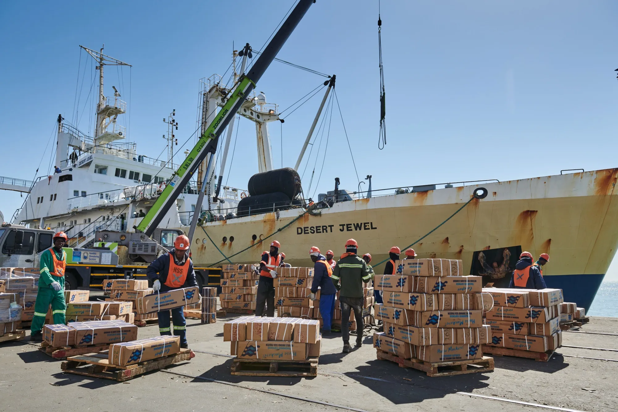 Workers handle boxes of frozen fish on a dock at the Port of Walvis Bay.