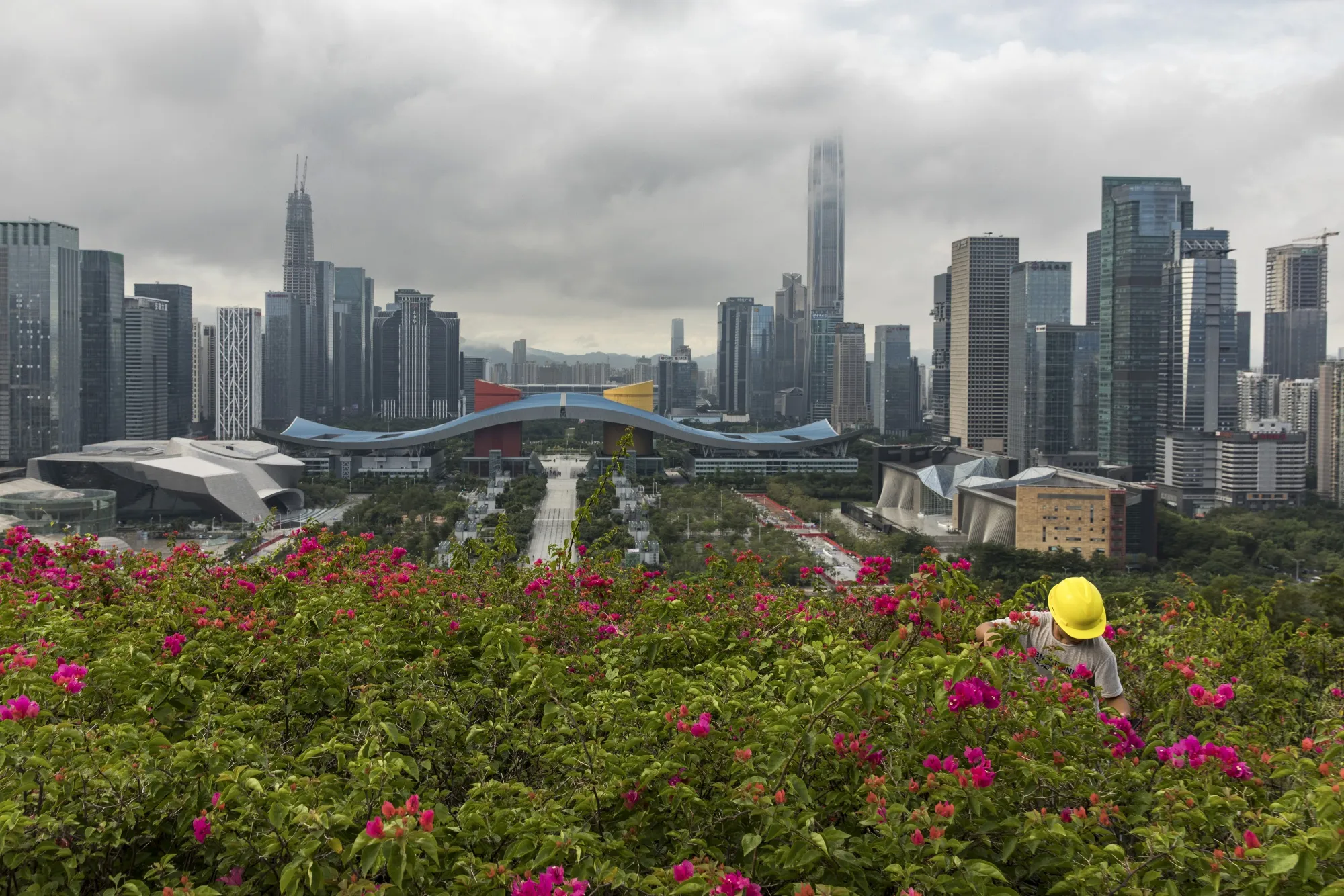 A worker attends to plants at Lianhua Park as buildings stand in the background in Shenzhen.