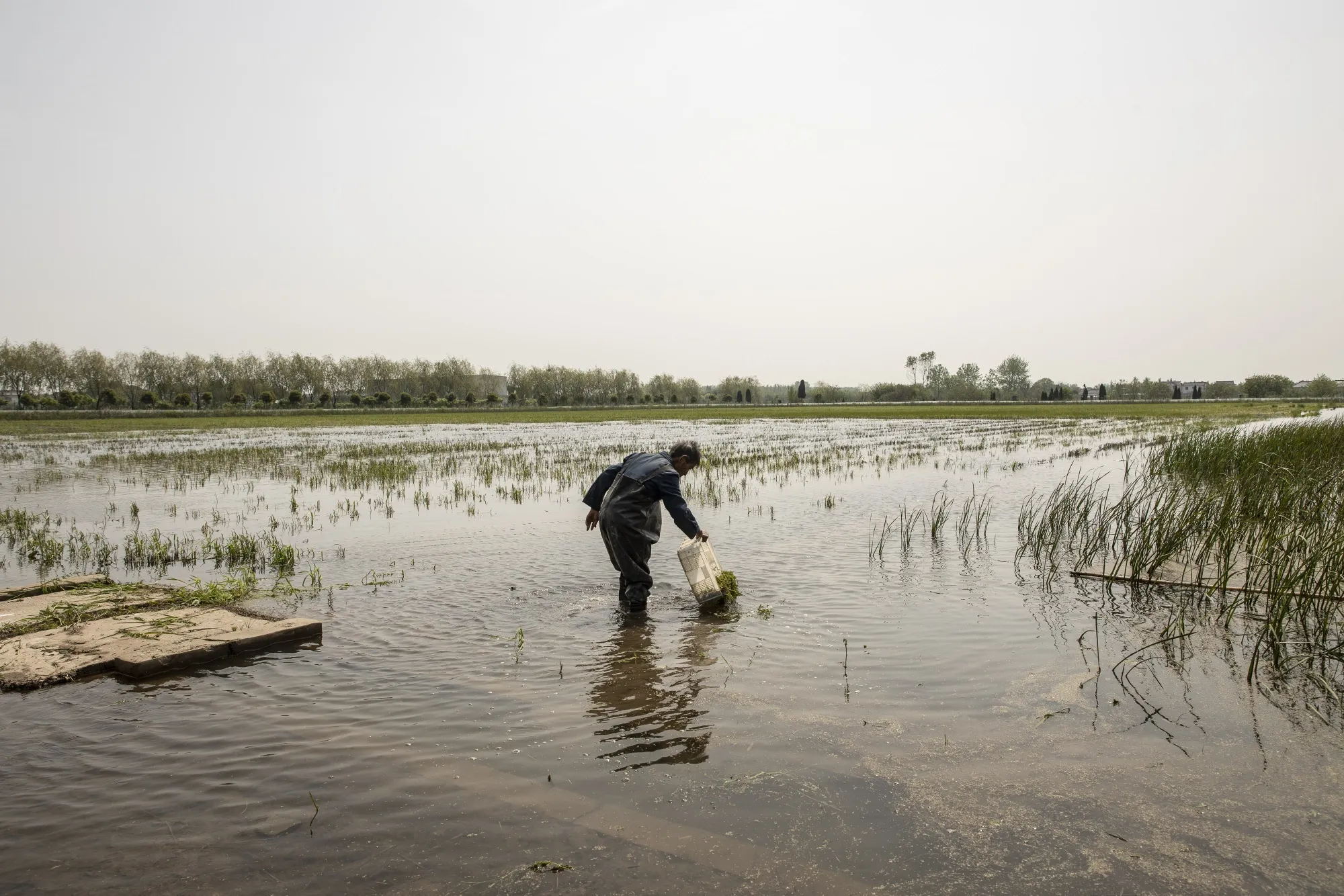 Operations at Clayfish and Rice Rotation Industrial Base