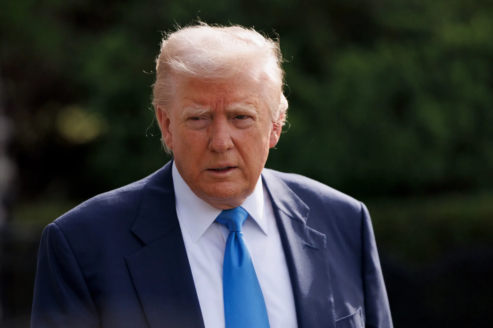 Donald Trump&nbsp;