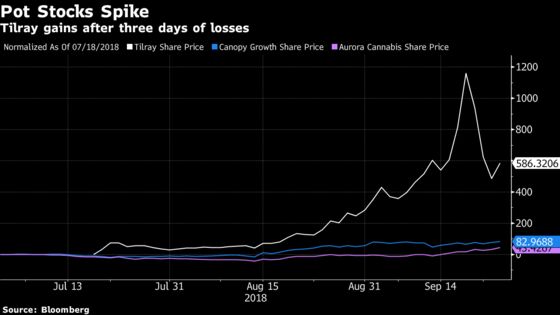 Tilray Leads Cannabis Gains, Poised to Snap Three-Day Slump