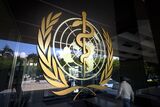 World Health Organization GETTY sub